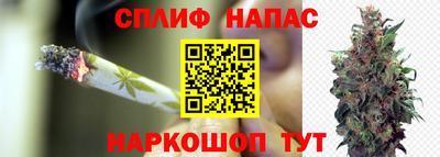 дурь Ярославль