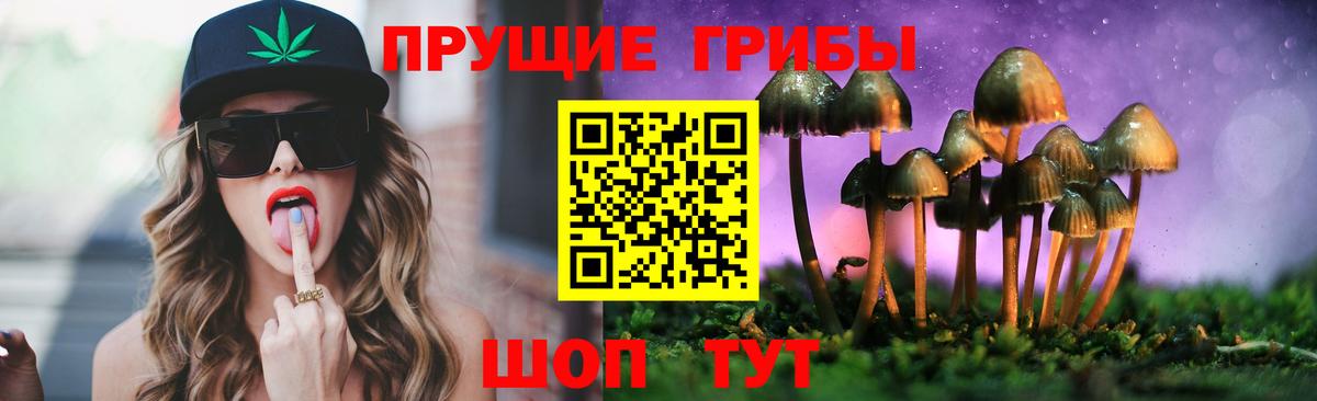 Псилоцибиновые грибы мицелий  где купить наркотик  Большой Камень  Вход с VPN 